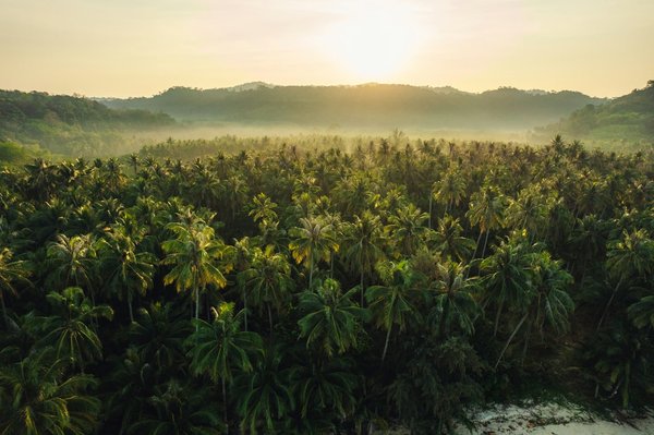 Où expérimenter des soins thermaux uniques en Islande ?