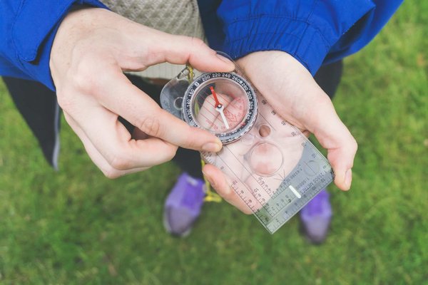 Comment planifier une croisière axée sur la découverte des sites de plongée méconnus de la Mer de Cortez?